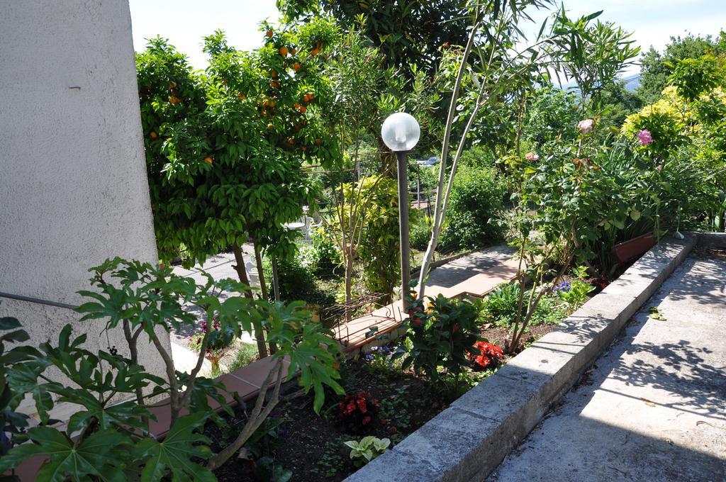 B&B La Palombara Giuliano di Roma 외부 사진
