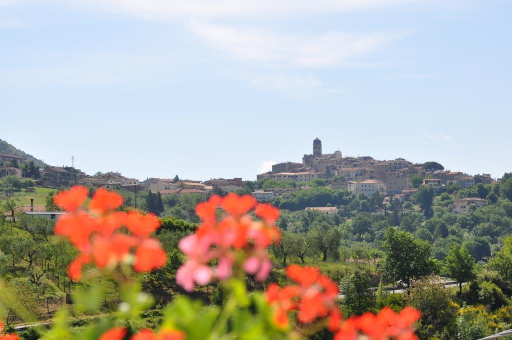 B&B La Palombara Giuliano di Roma 외부 사진